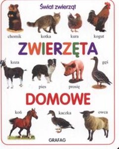 Obrazek Zwierzęta domowe Świat zwierząt