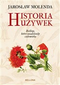 Polnische buch : Historia u... - Jarosław Molenda