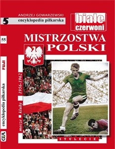 Obrazek Mistrzostwa Polski cz.5 Stulecie T.55