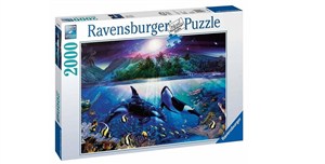 Bild von Puzzle 2000 Orki