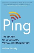 Polnische buch : Ping - Andrew Brodsky