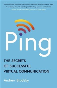 Obrazek Ping