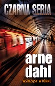 Polska książka : Wstrząsy w... - Arne Dahl