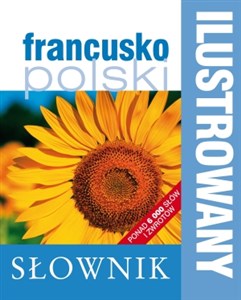 Bild von Ilustrowany słownik francusko-polski