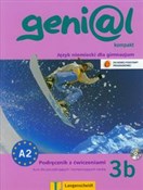 Genial 3B ... - Hermann Funk, Michael Koenig, Ute Koithan -  Polnische Buchandlung 
