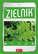 Książka : Zielnik - Opracowanie Zbiorowe