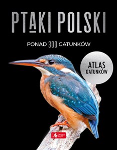 Obrazek Ptaki Polski Atlas gatunków