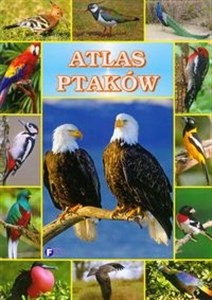 Obrazek Atlas ptaków