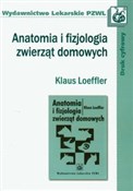 Książka : Anatomia i... - Klaus Loeffler