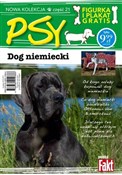 Dog niemie... - Opracowanie Zbiorowe -  polnische Bücher