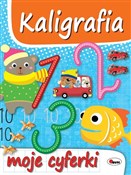 Polnische buch : Kaligrafia... - Opracowanie Zbiorowe