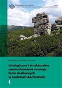 .Litologic... - Aleksandra Michniewicz-Cepuch -  fremdsprachige bücher polnisch 