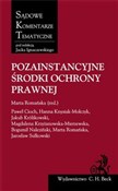 Pozainstan... - Paweł Cioch, Hanna Knysiak-Molczyk, Jakub Królikowski -  fremdsprachige bücher polnisch 