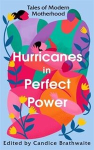 Bild von Hurricanes in Perfect Power