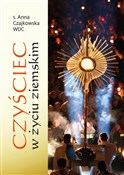 Polnische buch : Czyściec w... - Anna Czajkowska