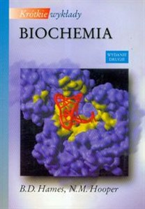 Bild von Krótkie wykłady Biochemia
