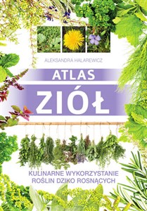 Obrazek Atlas ziół Kulinarne wykorzystanie roślin dziko rosnących