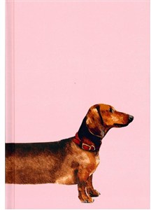 Bild von Notes Gee Overgrown linia NARCISSUS