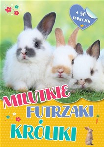 Obrazek Milutkie futrzaki. Króliki
