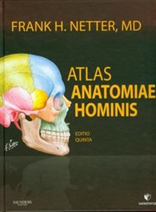 Bild von Atlas anatomii człowieka Nettera