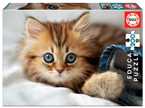 Bild von Puzzle 200 Mały kotek G3