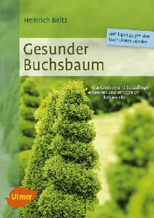 Bild von BELTZ, H: GESUNDER BUCHSBAUM