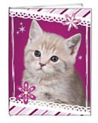 Zobacz : Notes gład...