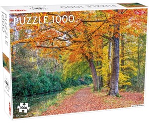 Obrazek Puzzle Pathway by a canal 1000