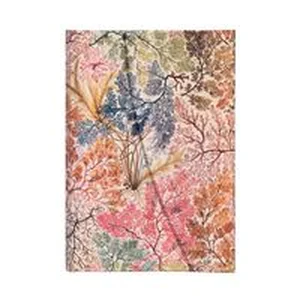 Bild von Notes Anemone Mini Linia