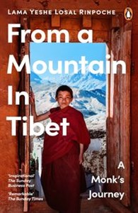 Bild von From a Mountain In Tibet