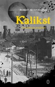 Polska książka : Kalikst Fe... - Robert Nowakowski