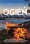 Zobacz : Ogień - Thomas Svardal