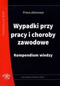 Wypadki pr... - Jan M. Pióro, Jerzy Wroński, Józef M. Boguszewski -  fremdsprachige bücher polnisch 