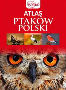 Obrazek Atlas ptaków Polski