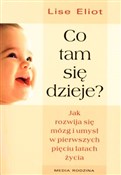 Co tam się... - Lise Eliot -  polnische Bücher