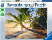 Zobacz : Puzzle 2D ...