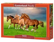 Puzzle 500... -  fremdsprachige bücher polnisch 