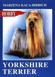 Bild von Yorkshire terrier