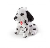 Pluszak mi... -  polnische Bücher