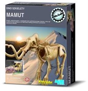 Obrazek Dino szkielety Mamut