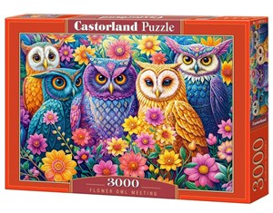 Bild von Puzzle 3000 Flower Owl Meeting C-300723-2