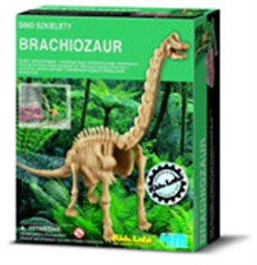 Bild von Dino szkielety Brachiosaurus