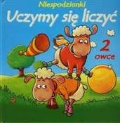 Polnische buch : Niespodzia...