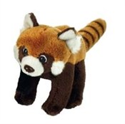 Panda ruda... -  Polnische Buchandlung 