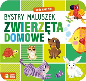 Bild von Bystry maluszek Zwierzęta domowe