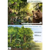 Plansza de... - Opracowanie Zbiorowe - buch auf polnisch 