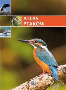 Bild von Atlas ptaków