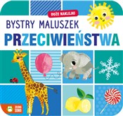 Bystry mal... - Opracowanie Zbiorowe -  polnische Bücher
