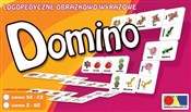 Polska książka : Domino log...