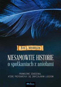 Bild von Niesamowite historie o spotkaniach z aniołami